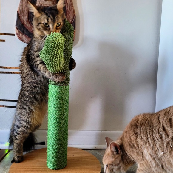 🌵 adorable bohemian desert cactus cat scratcher made of natural Sisal  rope🌵 - Picture 8 of 17